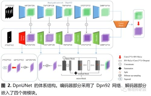 宫颈癌放射治疗中自动勾画临床靶体积和危及器官的深度学习算法的开发与验证